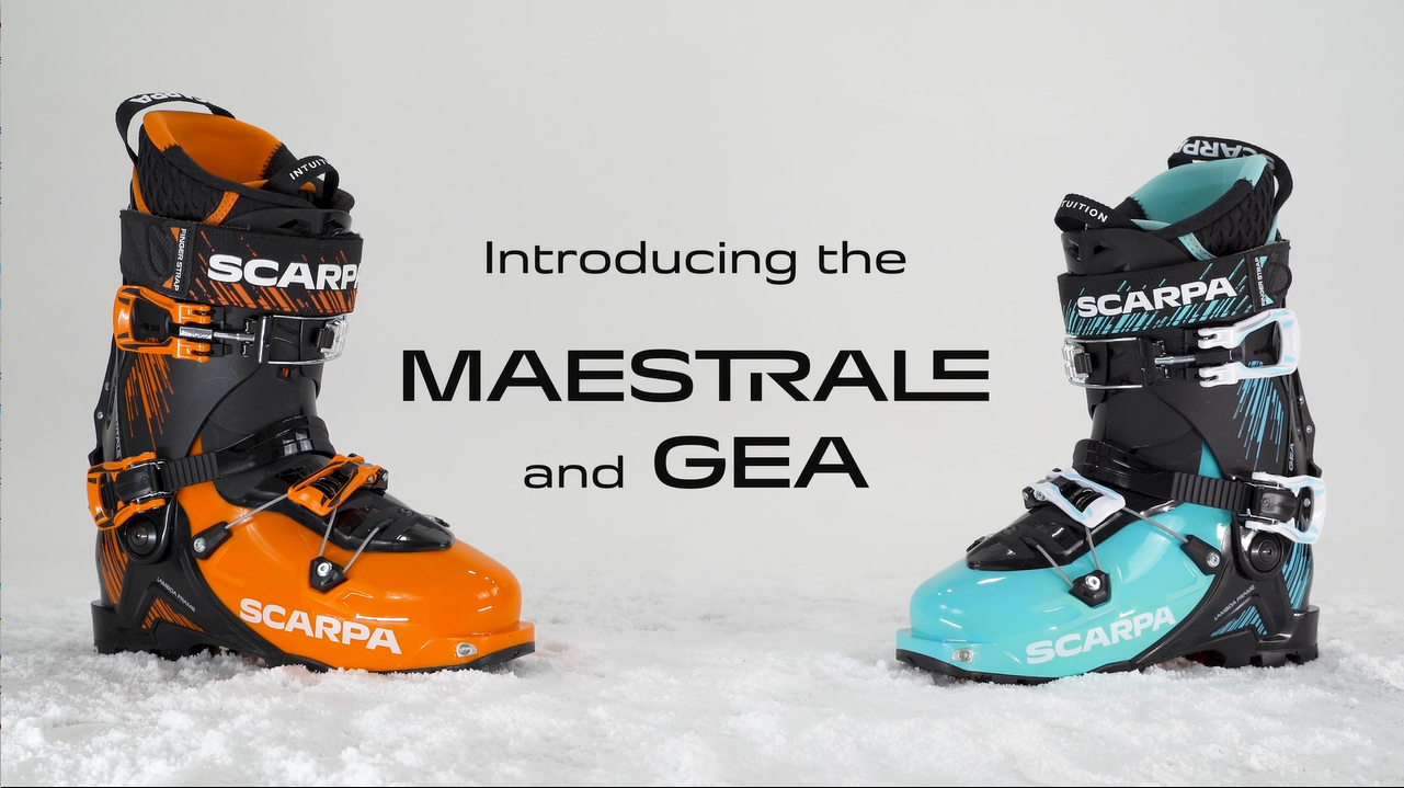 Amazon.com : SCARPA Men's Maestrale 110 Flex Alpine Touring Ski